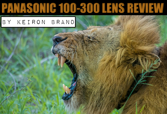 Unsung hero, the Panasonic Lumix G Vario 100-300mm by Keiron Brand