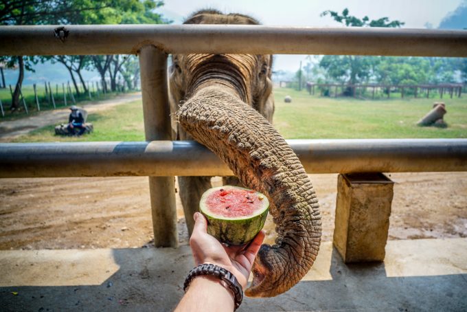 Thailand - Sony A7rII Voigtländer 15mm f4.5 II Heliar - 0002