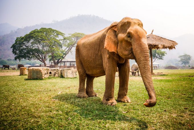 Thailand - Sony A7rII Voigtländer 21mm f4 Color-Skopar - 0005