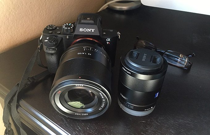 Zeiss vs Zeiss. The Sony 50 1.4 vs 55 1.8.