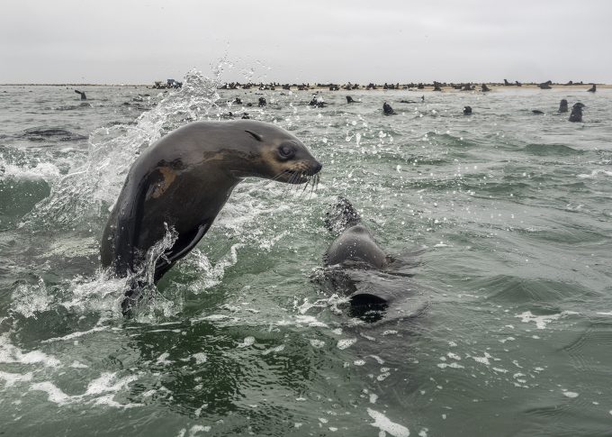 20141215_swakopmund_6081f