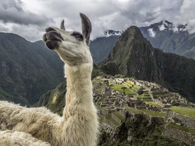 20150125_machupicchu_0357fv2