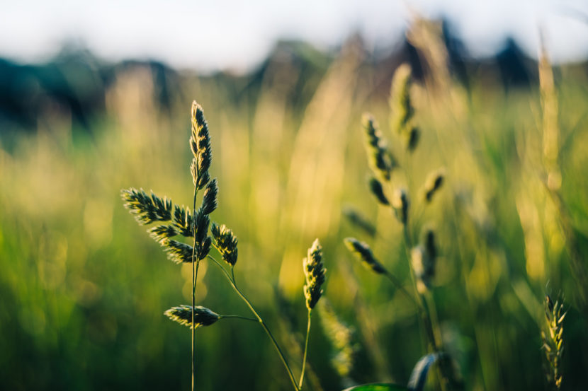 Sony NEX | Steve Huff Hi-Fi and Photo