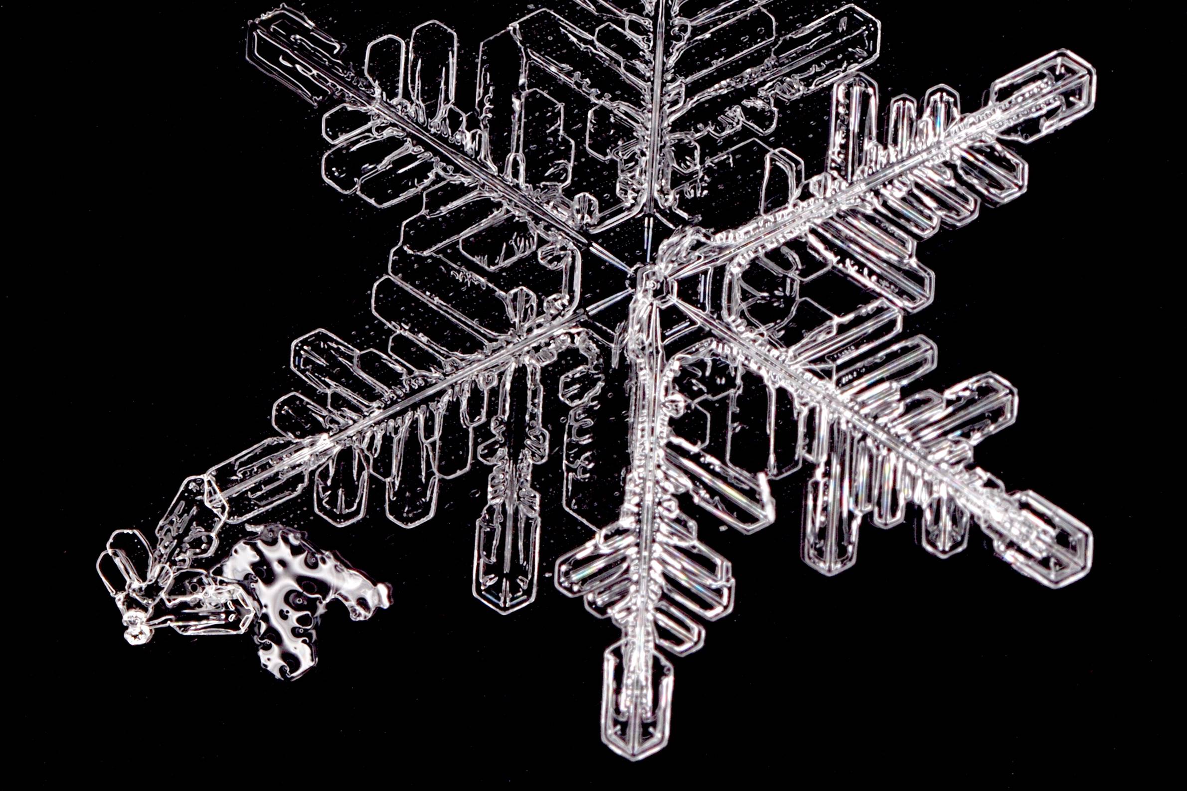 image010