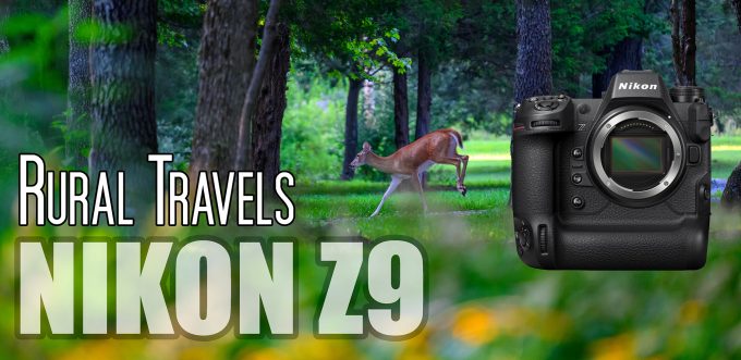 mirrorless digital camera reviews