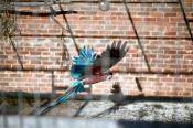 USER REPORT: My time with the Leica M9 by Matt Draper