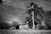 Pic for the Day - A B&W with the M9/Zeiss 35 C-Biogon