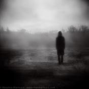 Holga Is My Friend! By Max Marinucci