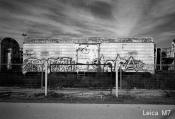 Quick Comparison - Leica M8 and M7, Digital and Film in B&W