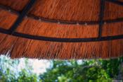 Ricoh GXR A12 Leica M Mount Module - My quick take...by Steve Huff