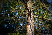 My Leica M9 Daily Diary 