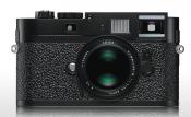 What was your favorite camera release of 2011?
