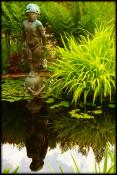 The iPad and Photogene by Emily Godwin
