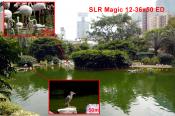 PRESS RELEASE: New 12-36X50 ED Spotting Scope for M4/3 by SLR Magic