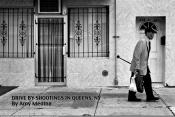 Drive By Shootings in Queens, NY by Amy Medina