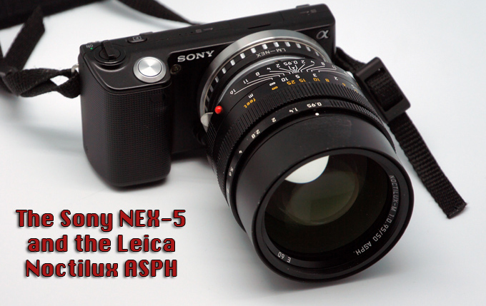 Leica Noctilux on Sony Nex-5